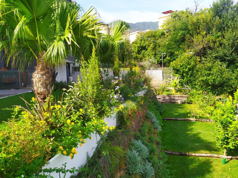 Images Azienda agricola vivaistica Gaetano Fortino - Vivai e Piante