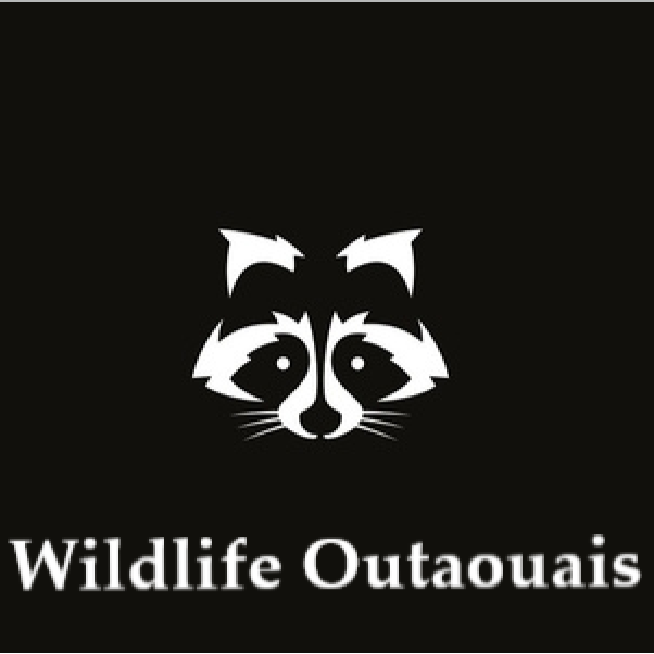 Extermination Wildlife Outaouais - Exterminateur Gatineau Logo
