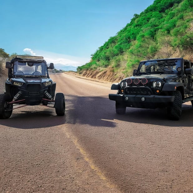 Images Vibrance Automotive