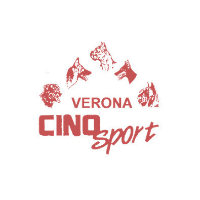 Cino Sport Logo