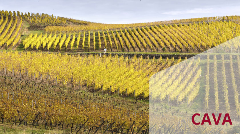 Armin Schmid Sonnenkönig, Olensbachstrasse 9-15 in Ulisbach