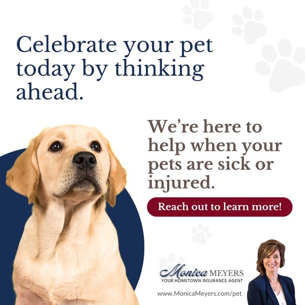 Images Monica Meyers - State Farm Insurance Agent
