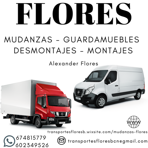 Images Mudanzas Internacionales Moving Flores