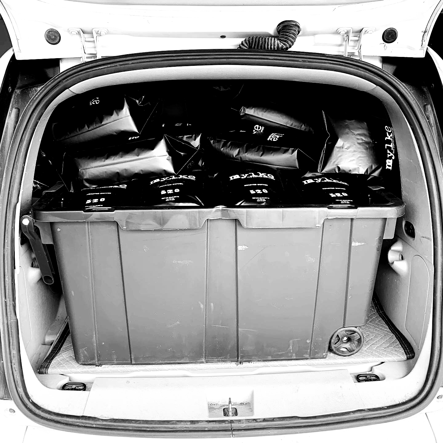 Mylke Coffee Company Image