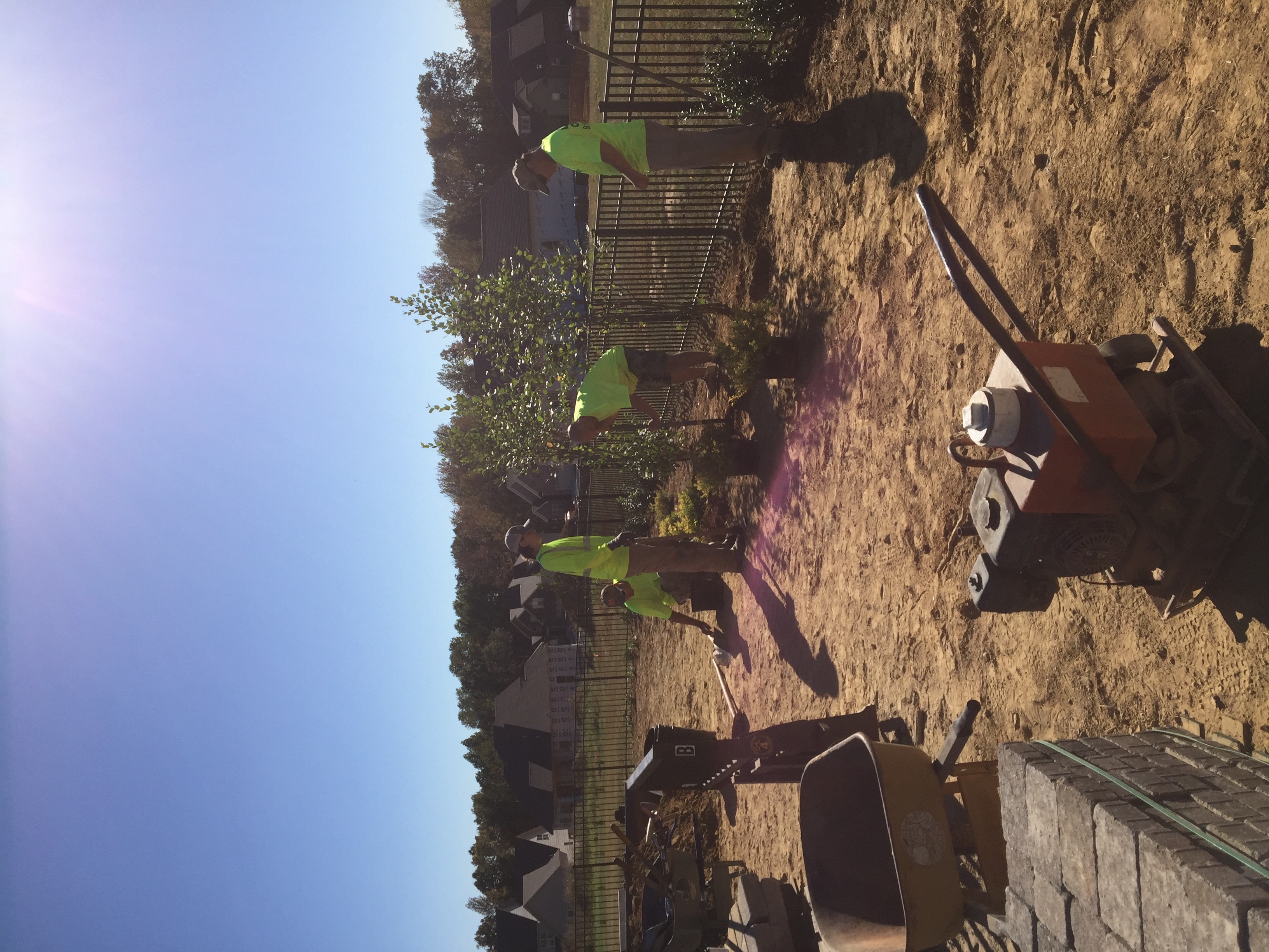 Affordable Lawn Care Image