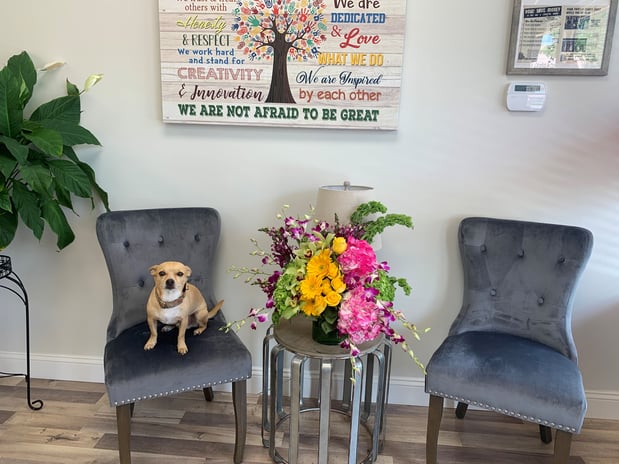 Images Mark Wilkinson - State Farm Insurance Agent