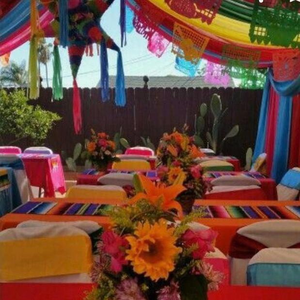 Images Chintito's Jumpers