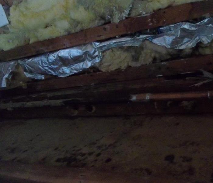 Mold From Leaking Pipes Affects Insulation on Long Island, NY