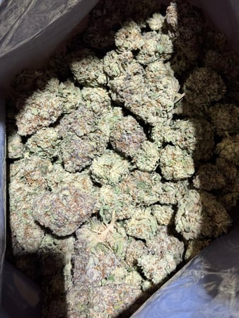 Images Wholesale Hemp Farms