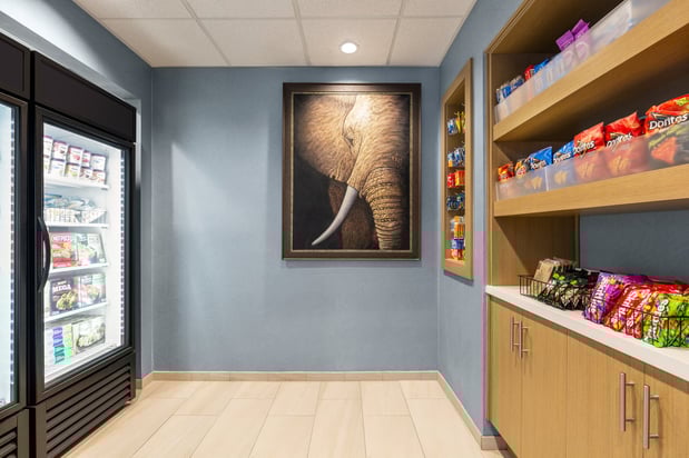 Images Holiday Inn Express & Suites Tuscaloosa-University by IHG