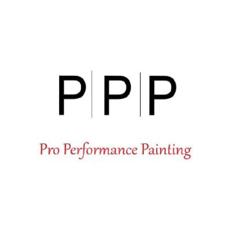 Pro Performance Painting Logo