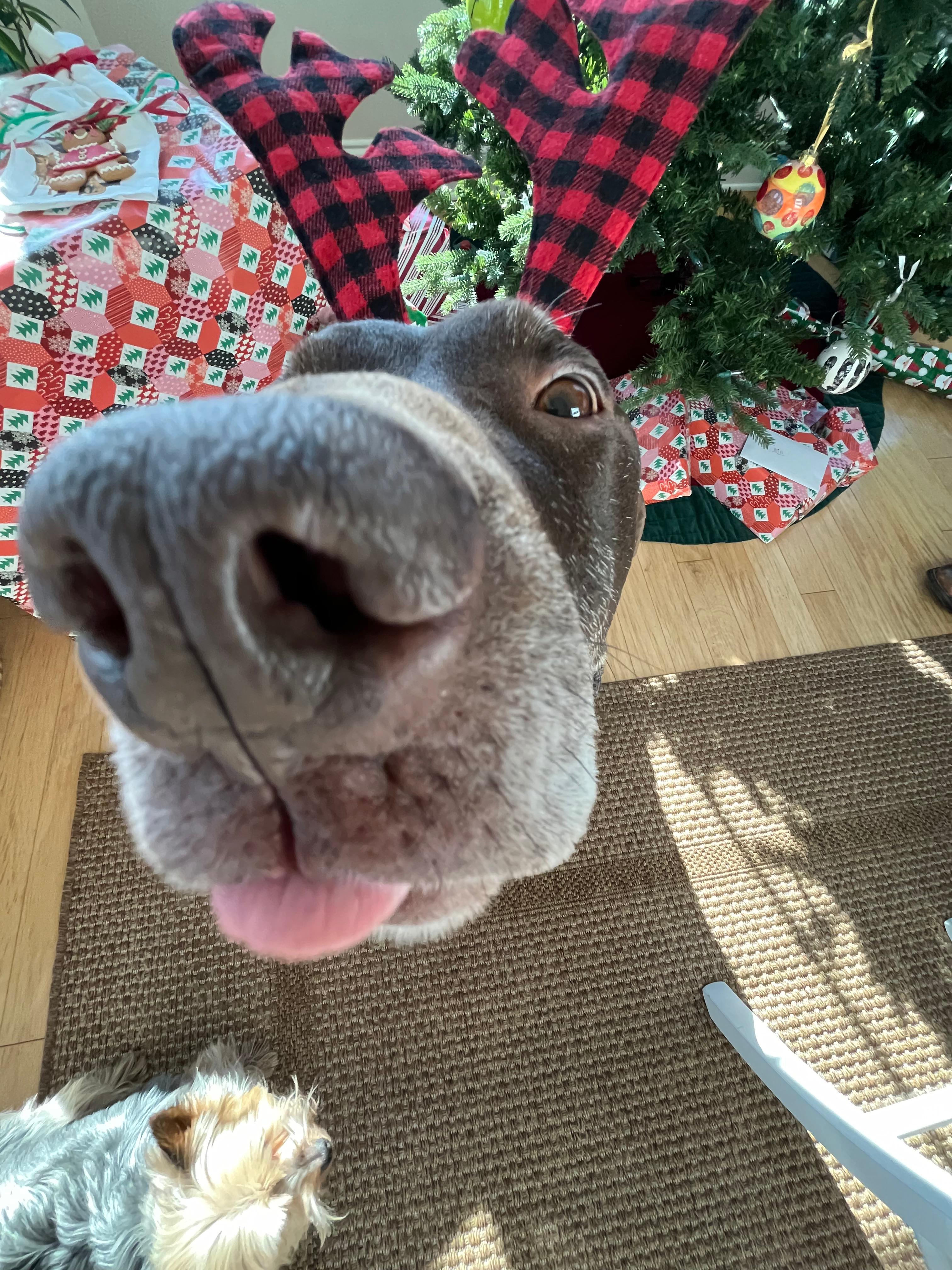 Gillespie Agency, LLC: Allstate Insurance Image