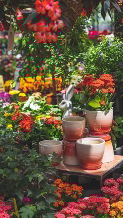 Images Mahoney's Garden Center