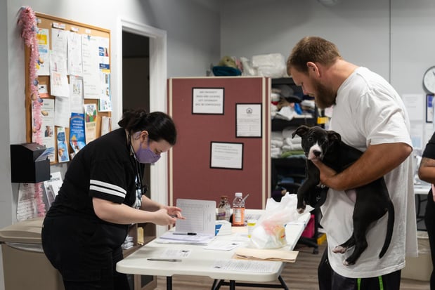 Images Furgent Care Vet