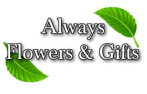 Always Flowers & Gifts Collingwood (705)445-7710