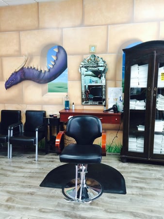 Images Hair Fairies The Head Lice Helpers Los Angeles