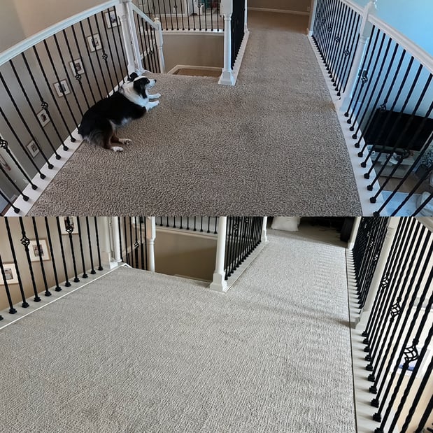 Images Floor Coverings International of North Denver