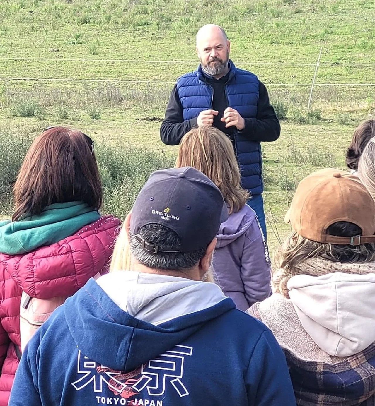 EAHAE International Association for Horse Assisted Education in Schkölen