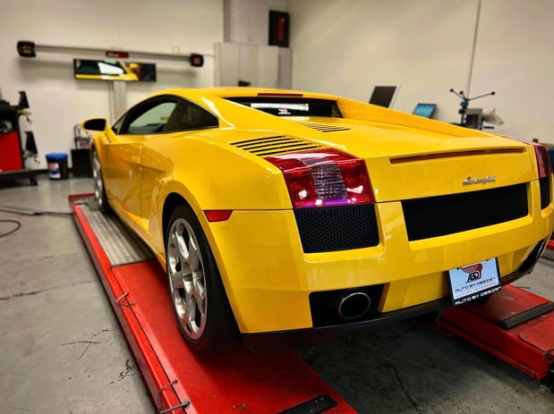 Images Loudoun County Exotics