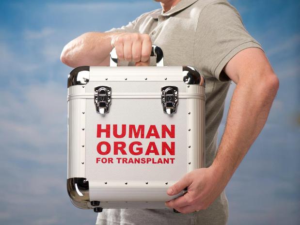 Images Clockwork Express Inc