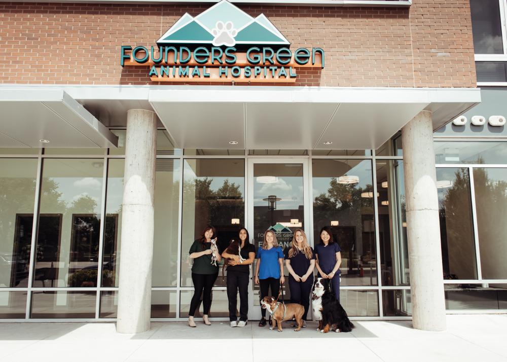 Welcome to Founders Green Animal Hospital!