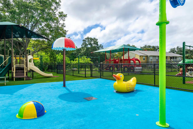 Images Primrose School of Oldsmar