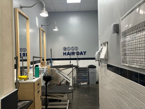 Images Petco Grooming