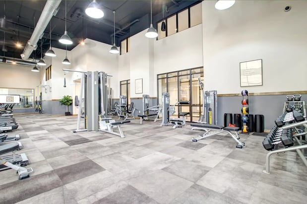 Images The Cosmopolitan