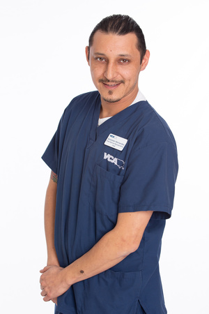 Images VCA Becker Animal Hospital and Pet Resort