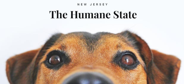 Images Explore New Jersey