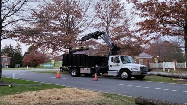Images Jay's  Tree Service