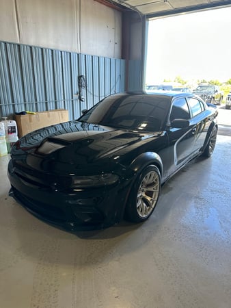 Images Evolution Customs