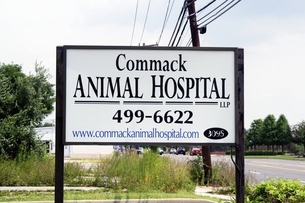 Images Commack Animal Hospital