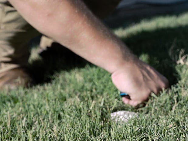 Images Pest Magic, LLC