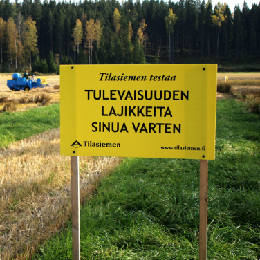 Images Tilasiemen, Kivistön Pakkaamo