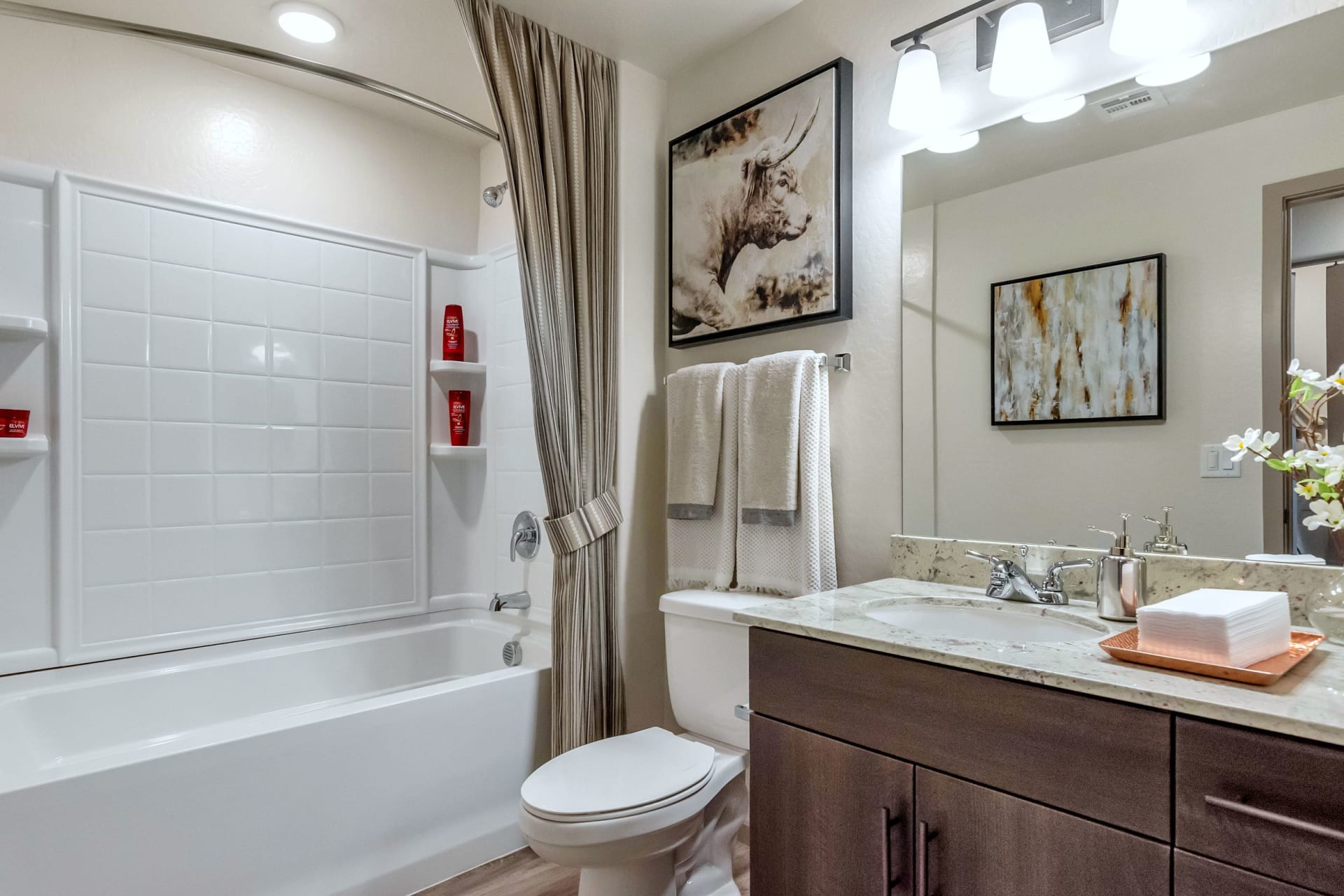 Luxury Bathroom