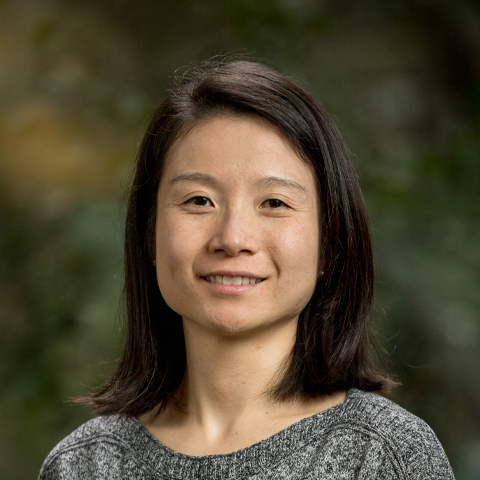 Dr Jennifer L. Wang