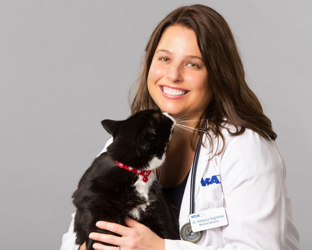 Images Bayview Animal Hospital