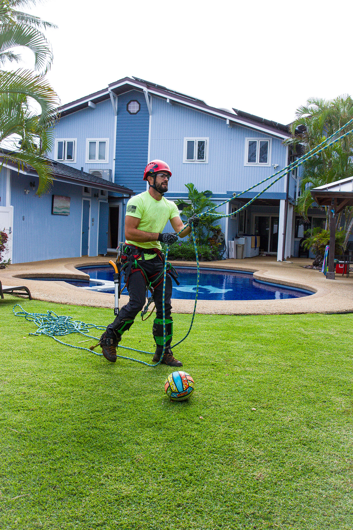 Amidst lush greenery, a tree service professional from Oahu, Hawaii, carefully prunes a tree to enhance its beauty and longevity.