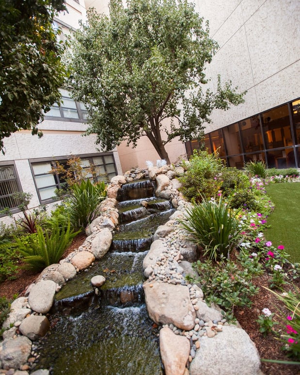 Images Monji Landscape Companies