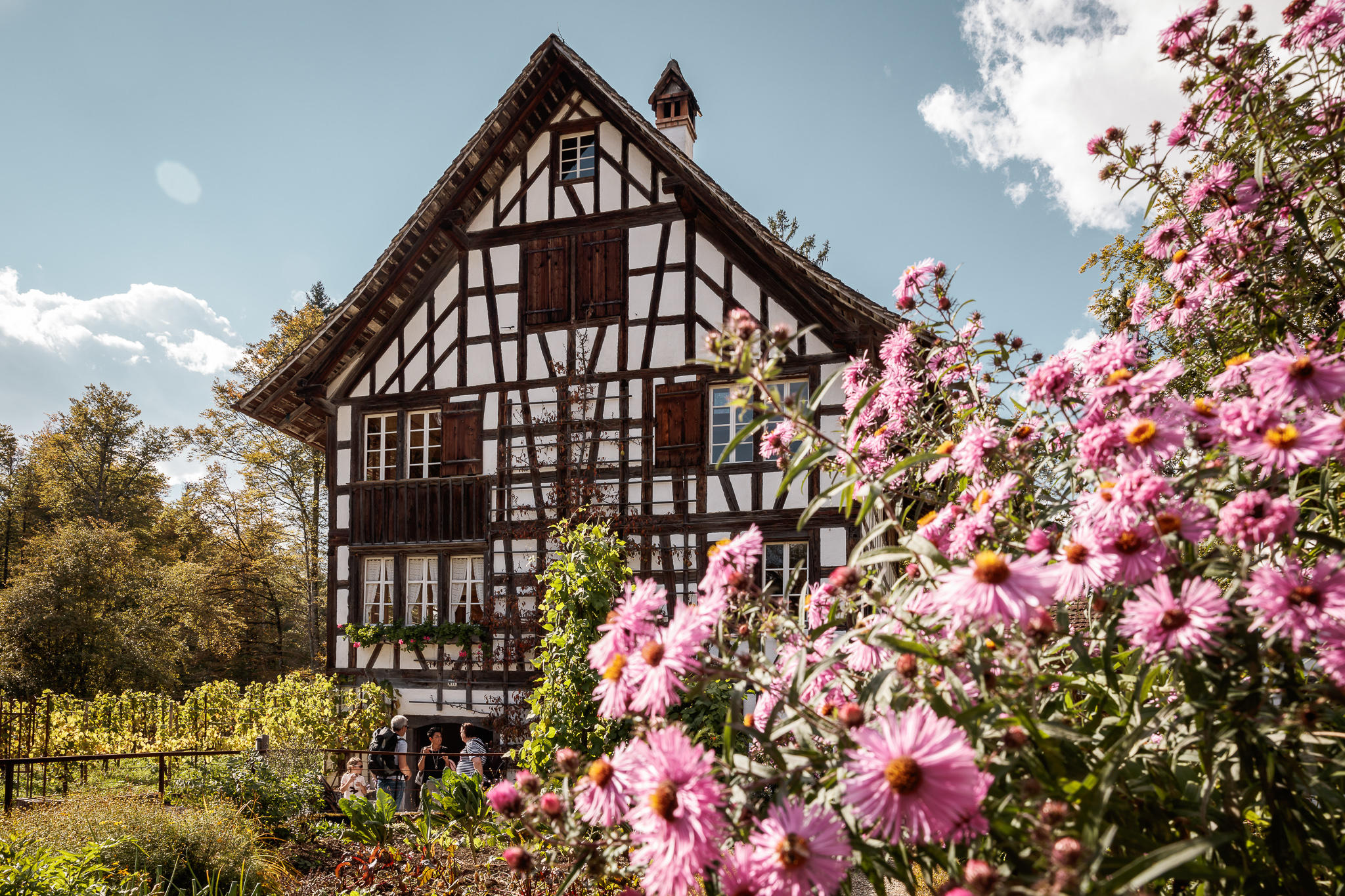 Ballenberg, Freilichtmuseum der Schweiz, Museumsstrasse 100 in Hofstetten