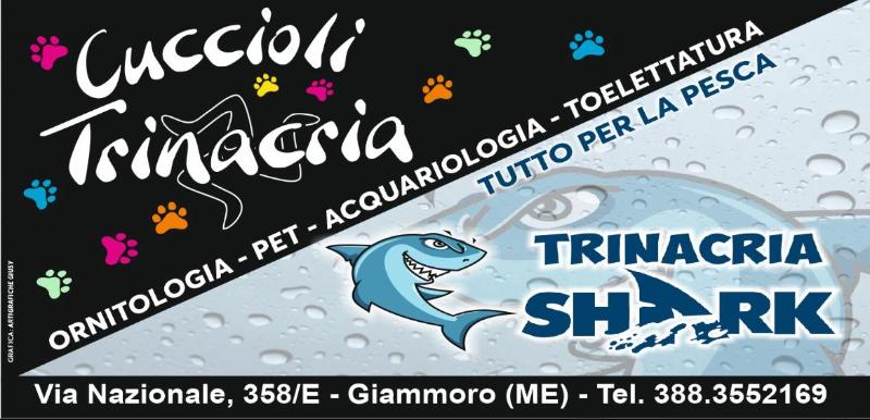 Images Cuccioli Trinacria Negozio di Animali e di Pesca