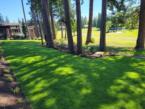 Images Mt. Baker Landscaping