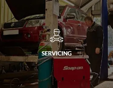 Images Steve Plain Peugeot Specialist