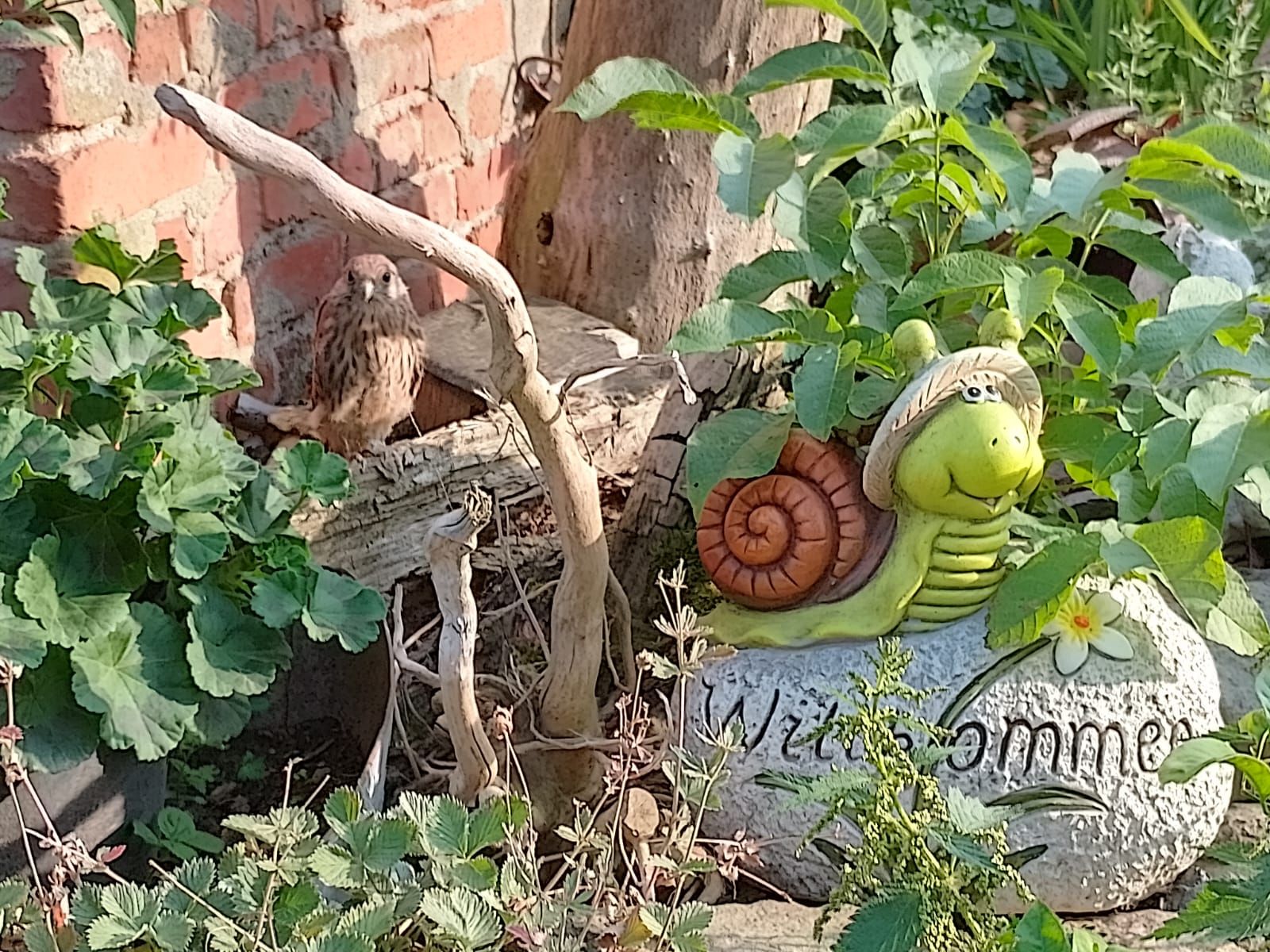 Landschaftspflege, Ferien, Reiten, Flur Troppach 4 in Zeulenroda-Triebes