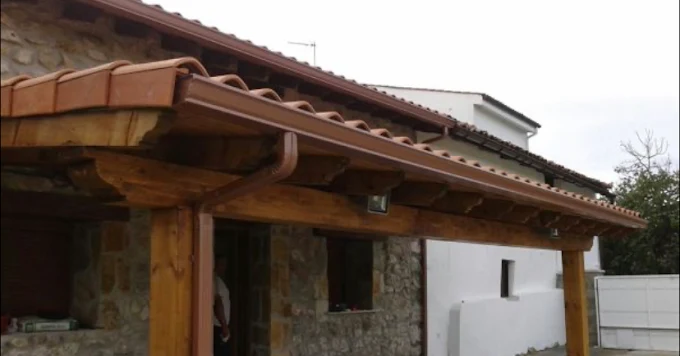 Images Canalones Diez Jose