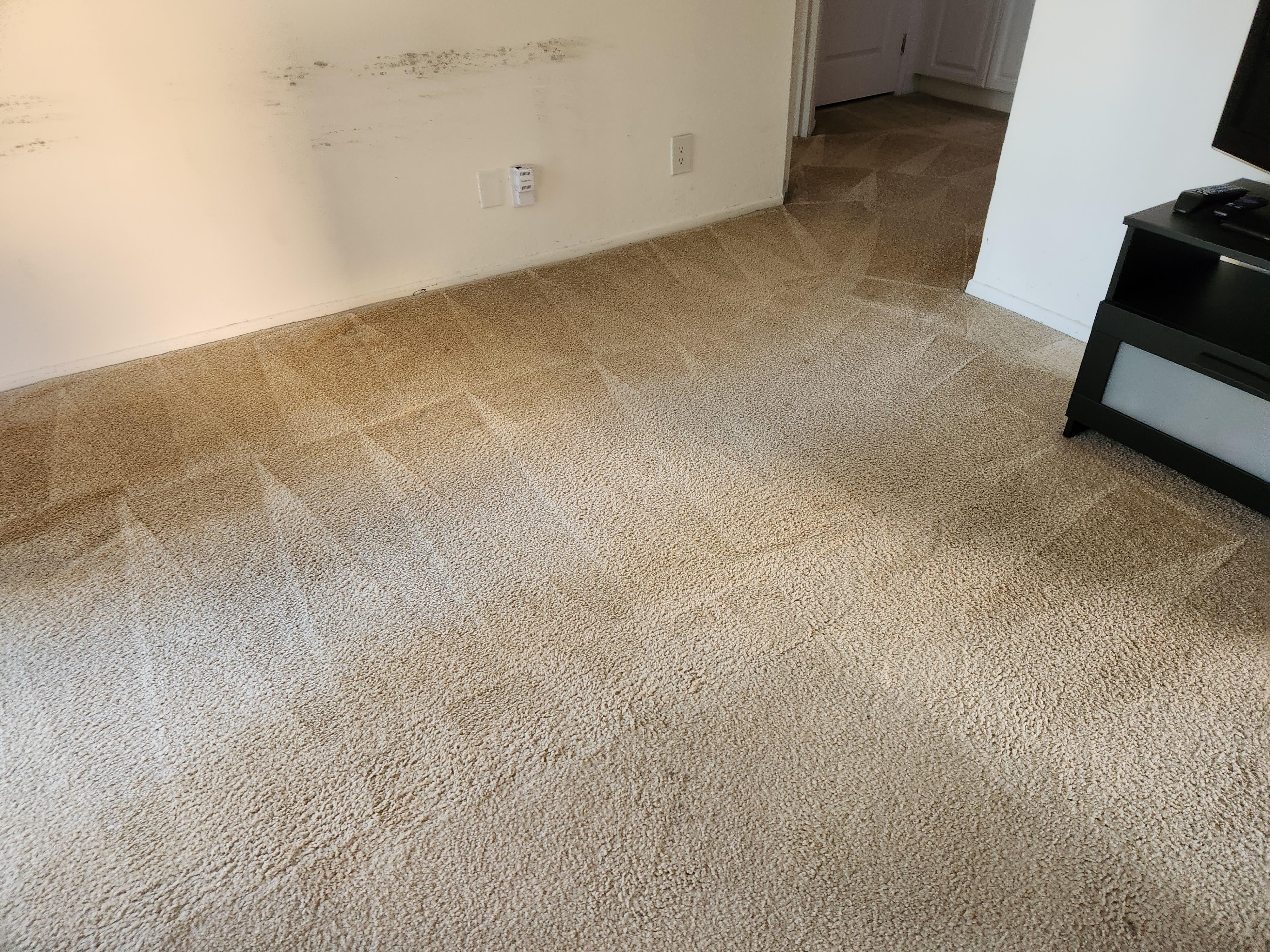 Arizmendi's Carpet Cleaning- carpet