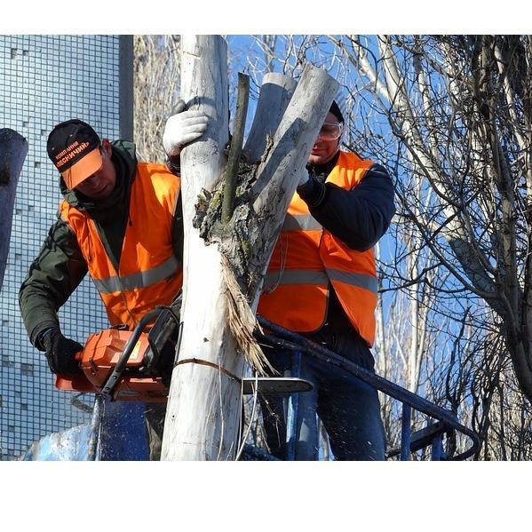 G&S Tree Service