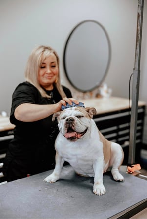 Images Pawsitively Purfect Salon