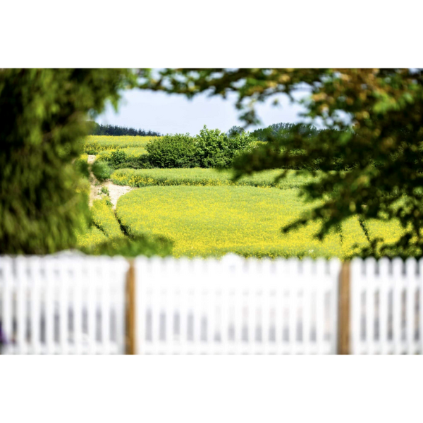 Images Den Selvejende Institution Storskoven